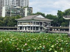 -荔湾湖公园