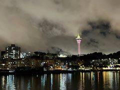 -澳门环岛游湾仔码头