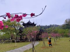 -常德桃花源景区