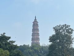 -顺峰山公园