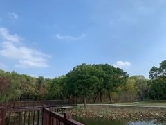 -同里国家湿地公园