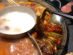 -渝涯重庆豆花老火锅(中赢国际店)