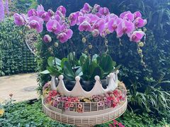 -花之城