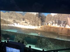 -成都浩海立方海洋公园