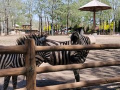 -大连森林动物园