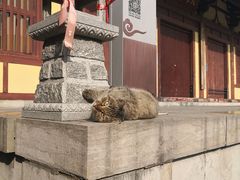 -四门塔风景区