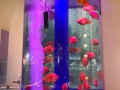 -金汤宴餐厅·粤菜(德云社店)