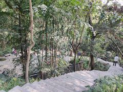 -广州市白云山风景名胜区