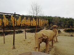 -塔川景区