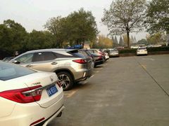 -共青国家森林公园-南大门停车场