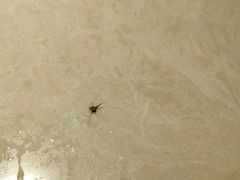 -香滨园骨架王(民生路店)