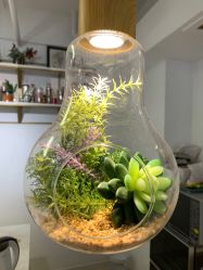 -杨丹国际美学肌研所