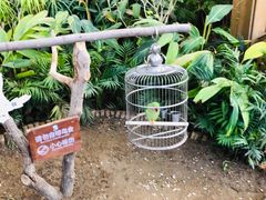 -南宫五洲植物乐园