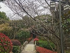 -苏州环秀晓筑养生度假村