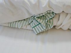 -天津医科大学肿瘤医院(本部院区)