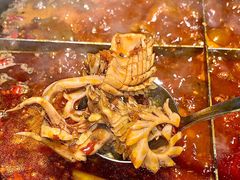 -陈眼镜火锅(总店)