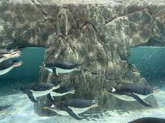 -成都浩海立方海洋公园