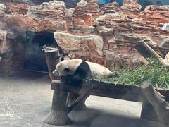 -石家庄市动物园