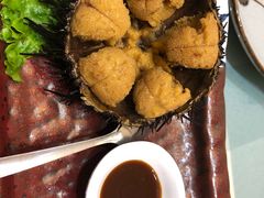 大海胆-君霖海鲜私房菜(春柳店)