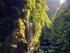 -碧峰峡风景区