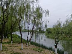 -大兴滨河森林公园