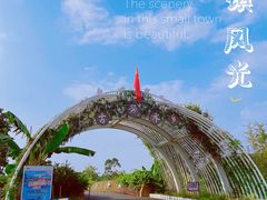 -江门古劳水乡旅游区