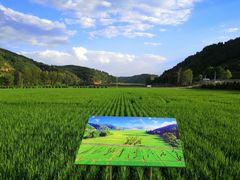 -南泥湾风景区
