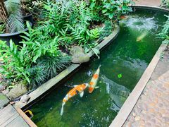 -Fern Forest Cafe
