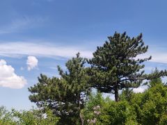 -北岳恒山