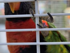 -宁波儿童公园(鄞州区)