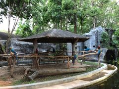 -清迈夜间动物园