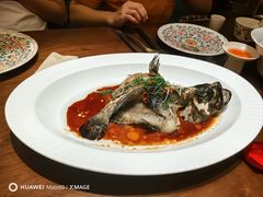 -觅唐MITONG(鸟巢店)