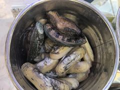 -半岛听涛蒸汽海鲜自助(K11店)