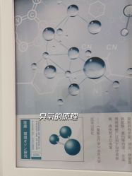 -颜居屋科技美肤