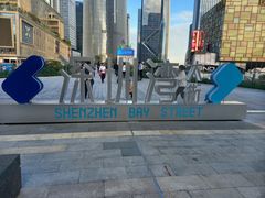 -深圳湾万象城(南山店)