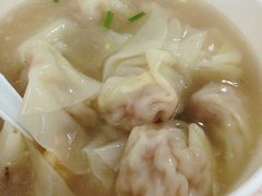 大葱鲜肉水饺-谈炎记水饺大王(利济北路店)