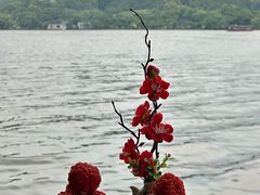 -柳莺湖上·湖景餐厅·江南菜(西湖店)