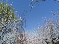 -三里河公园