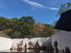 -中国版画博物馆