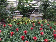 -南宫五洲植物乐园