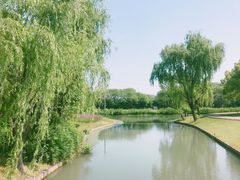 -上海佘山世茂艾美酒店