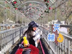 -牛鱼嘴原始生态风景区