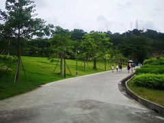 -中山市树木园