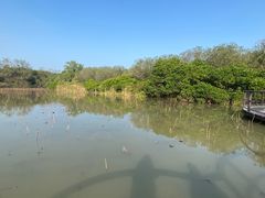 -大湾区中央湿地公园