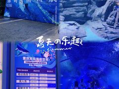-重庆欢乐海底世界