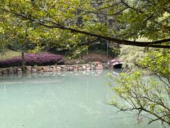 -灵栖洞天