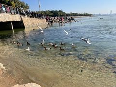 -深圳湾公园(南山区)