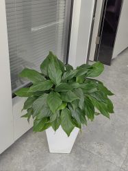 -悟空祛痘·诺奖技术专业店