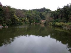 -云溪植物园