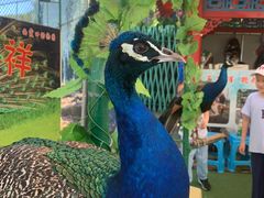 -威海华夏城景区